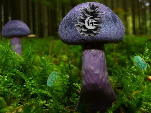Mushroom Forest Adventure_img