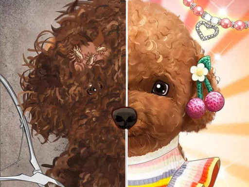 Pet Makeup Master img